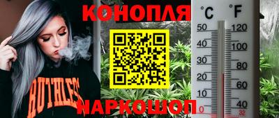 МДПВ Наро-Фоминск