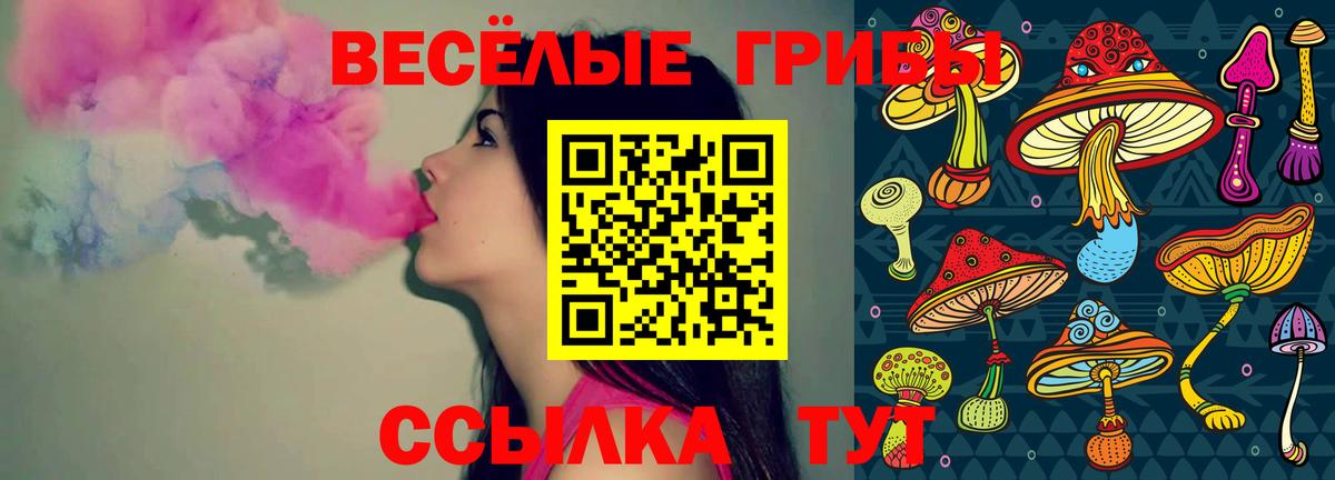 Галлюциногенные грибы ЛСД Чусовой